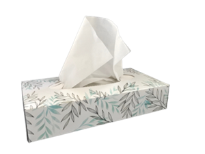 mouchoirs en papier boîte de 100